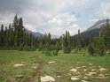 Lots of meadow walking down the canyon