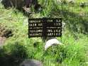 6 more miles to Return creek in Virginia Canyon