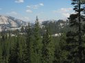 Looking up towards Cold Canyon